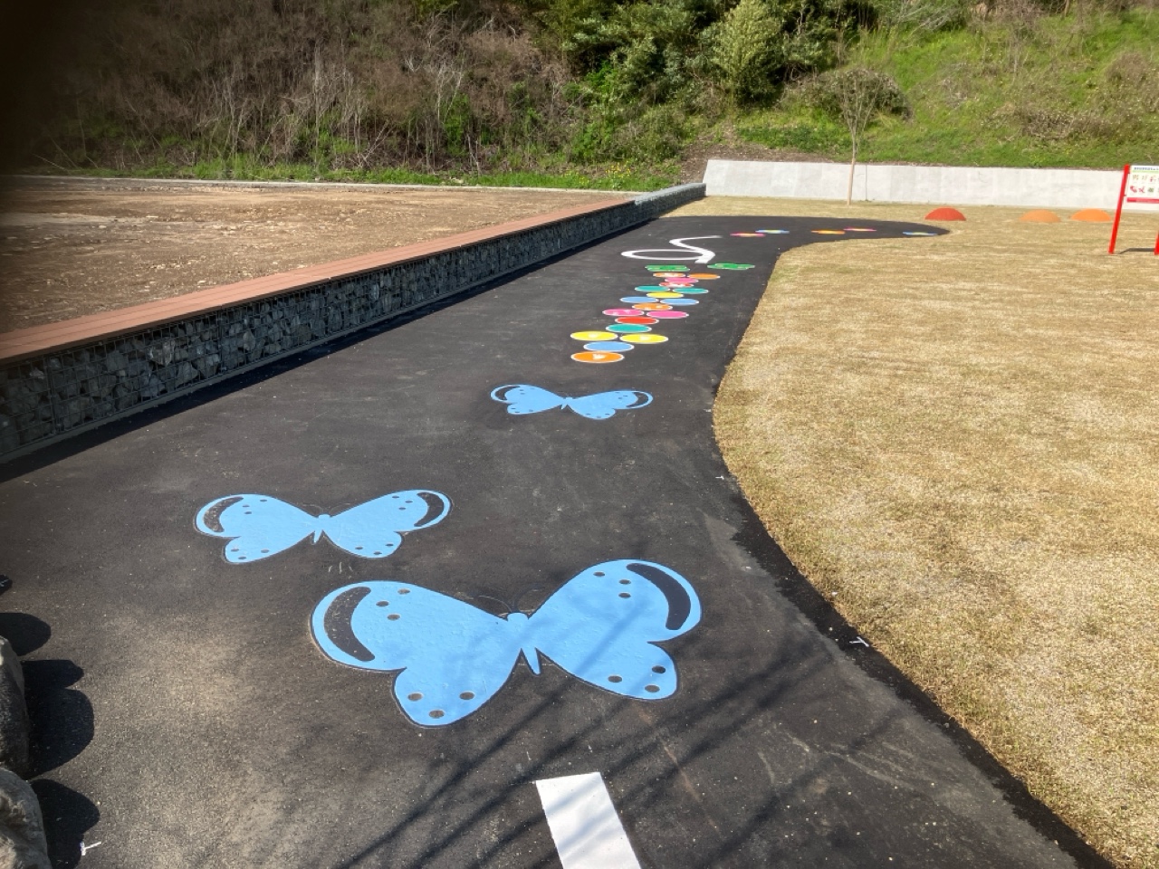 オオルリシジミなどの路面表示