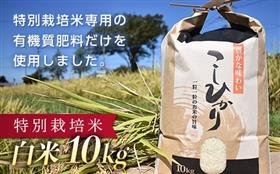 特別栽培米10