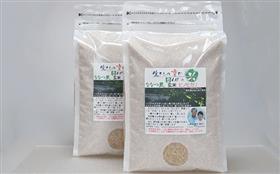 ヒノヒカリ写真