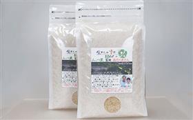 森のくまさん写真