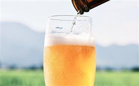 南阿蘇ビールとグラス