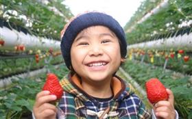 いちごと子ども