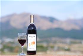 南阿蘇村の赤ワインと風景