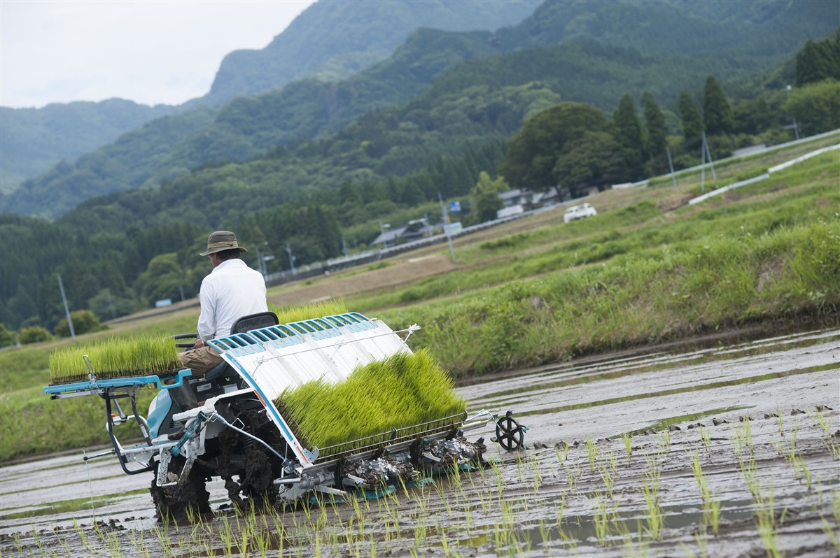 農業みらい公社