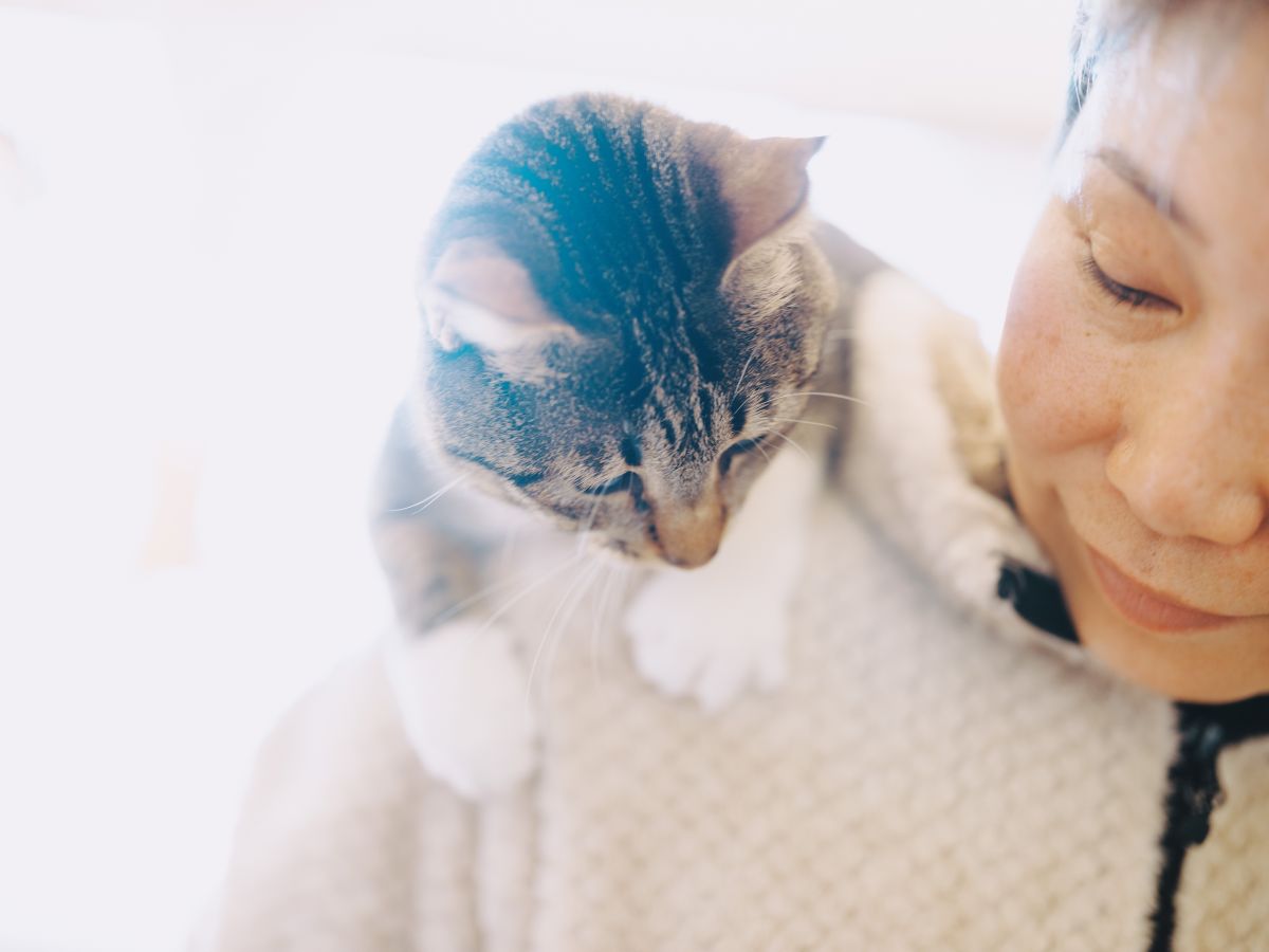 動物保護